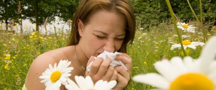 Contact lenses for hayfever allergy